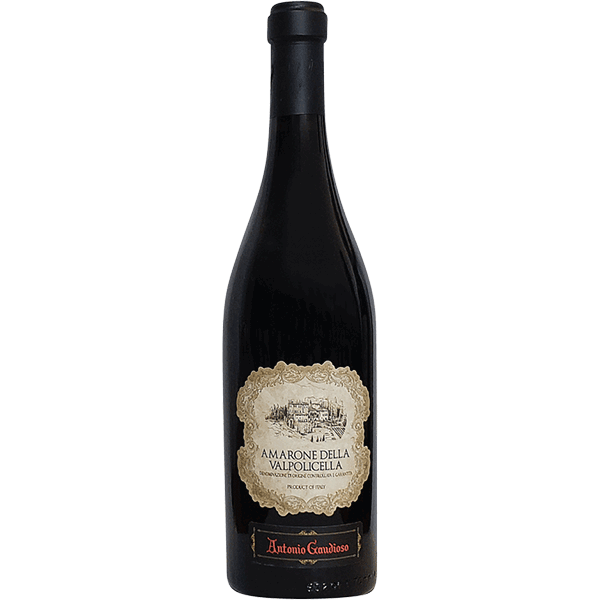 Picture of Antonio Gaudioso Amarone della Valpolicella 2021