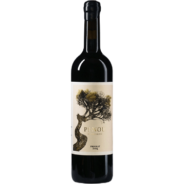 Picture of Pinou de Costerduo Priorat 2021